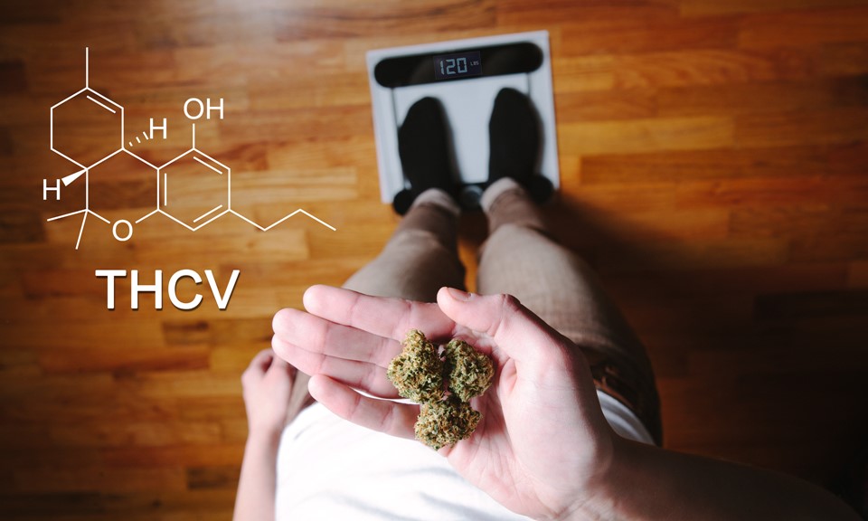 THCV